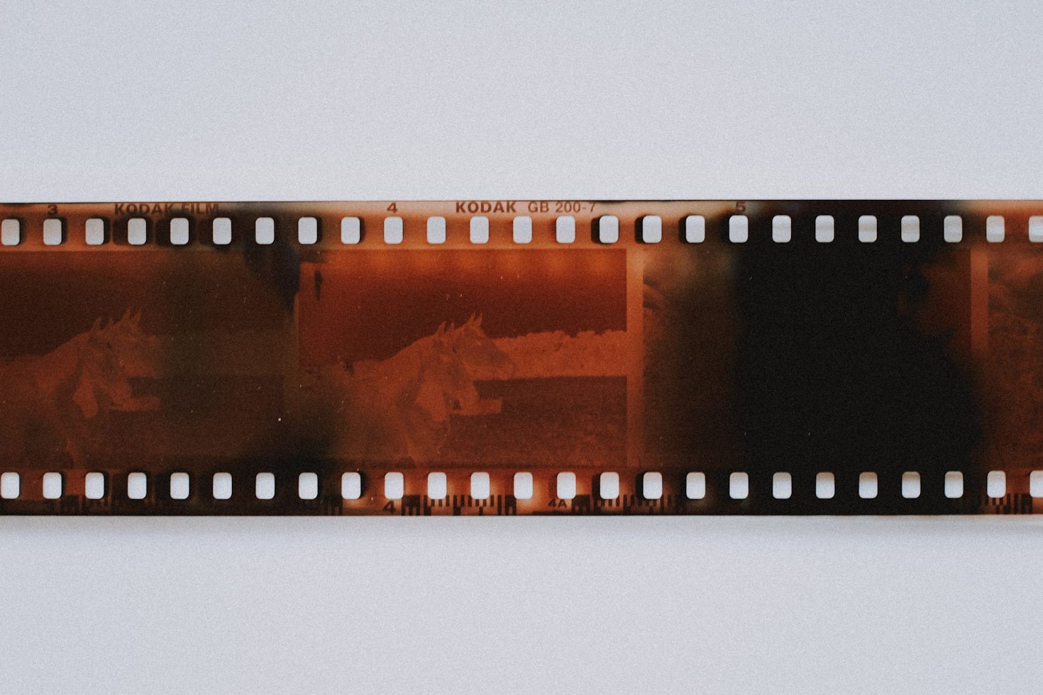 Top Reasons to Choose Digital Photo Frames